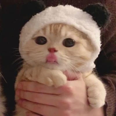 Hendra Gunawan avatar